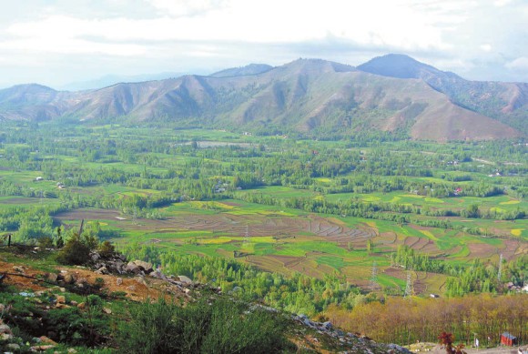Кашмирская долина,  26 апреля 2013 года.  Фото А. Андреева