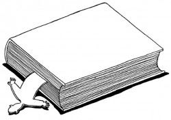 45N-3