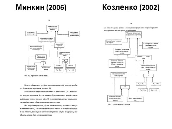 Сравнение диссертаций Минкина и Алексеика. Слайд 16