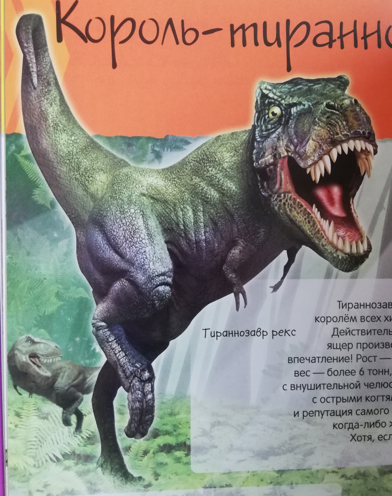 Илл. из книги К. Богаэра «Динозавры. Нескучная энциклопедия». 2016